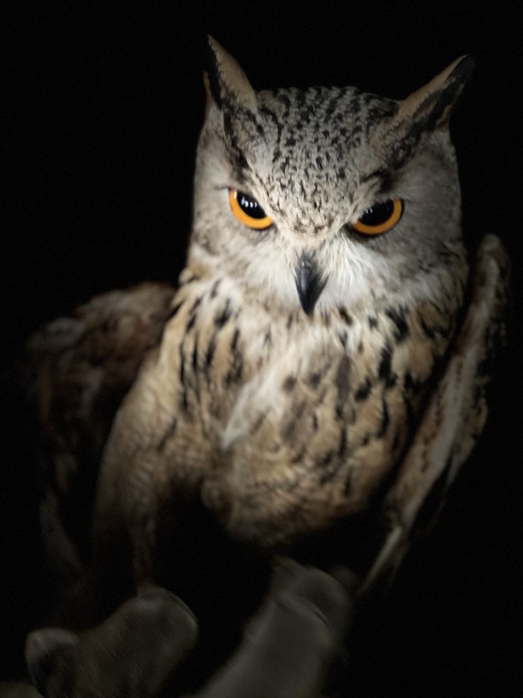 Photograph by Розалия