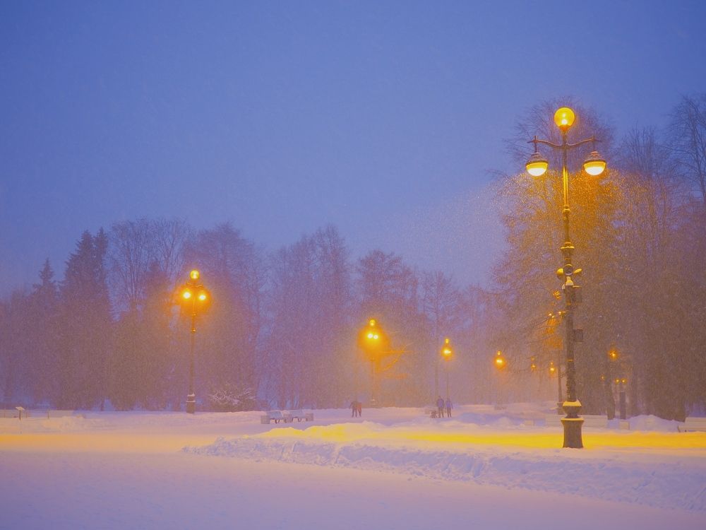 Photograph by Наталия Романова