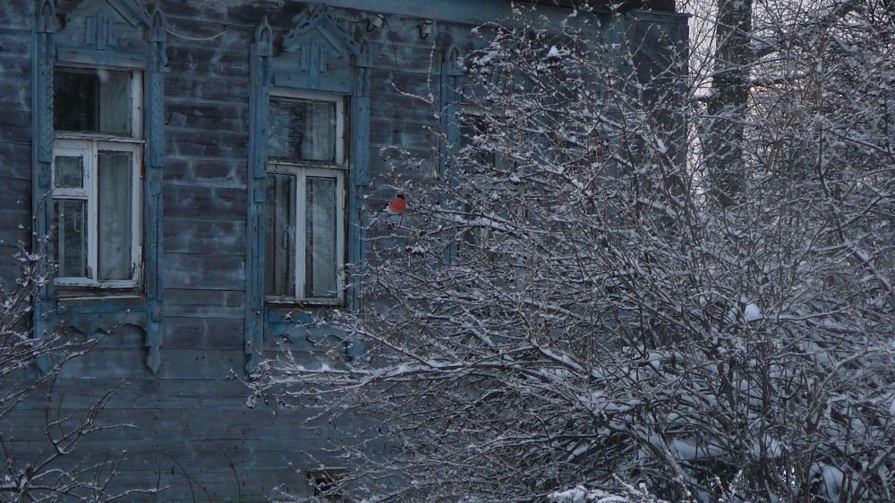 Photograph by Юлия Локалова