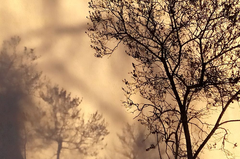 Photograph by Альфия Агзамова