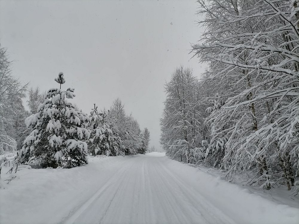 Photograph by Юлия Локалова