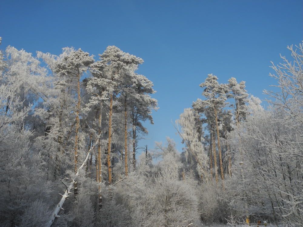 Photograph by Андрей Головин