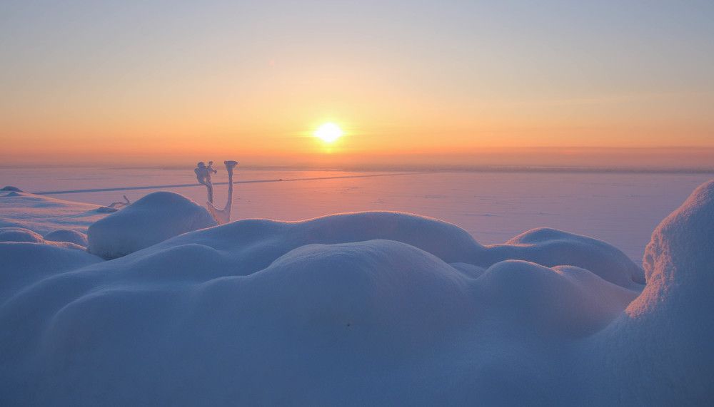 Photograph by Александр Трифанов