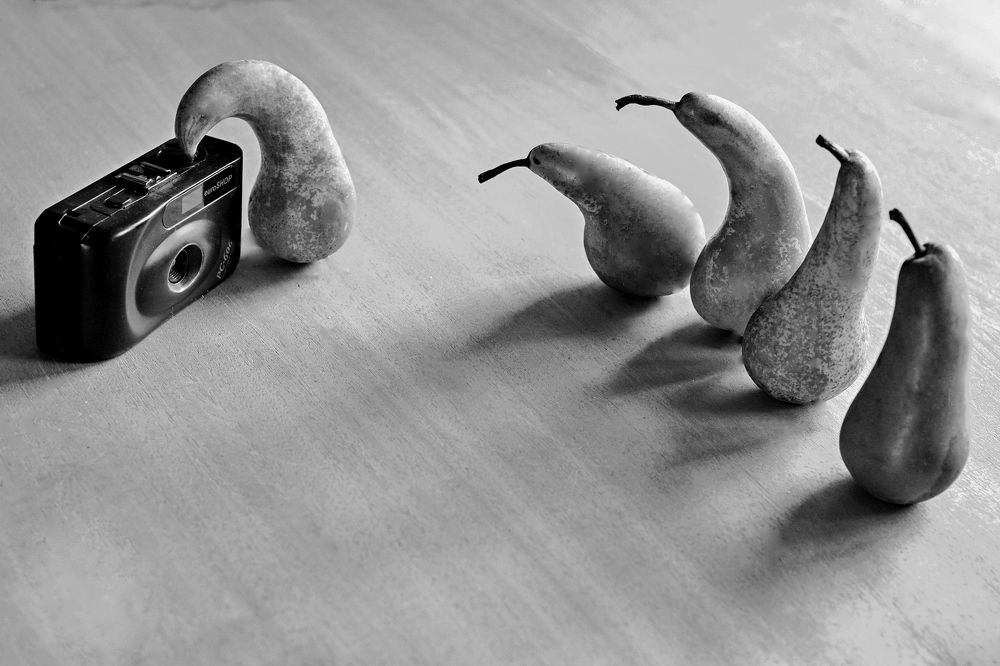 Фотограф щелкает и птичка вылетает.