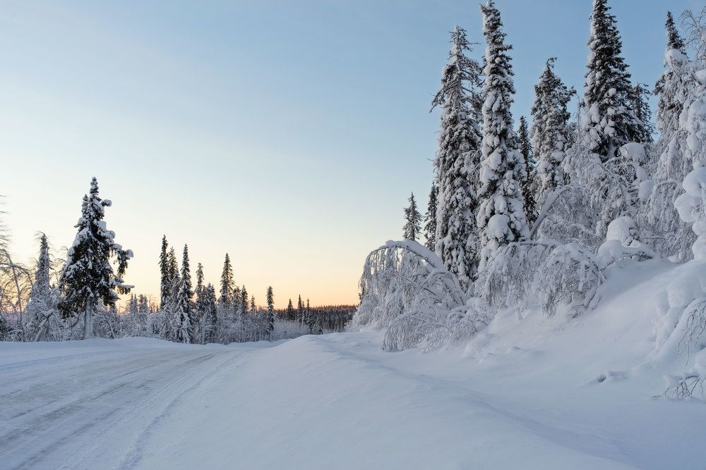 Photograph by Марина Зборацкая