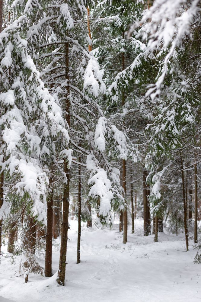 Photograph by Екатерина Овсянникова