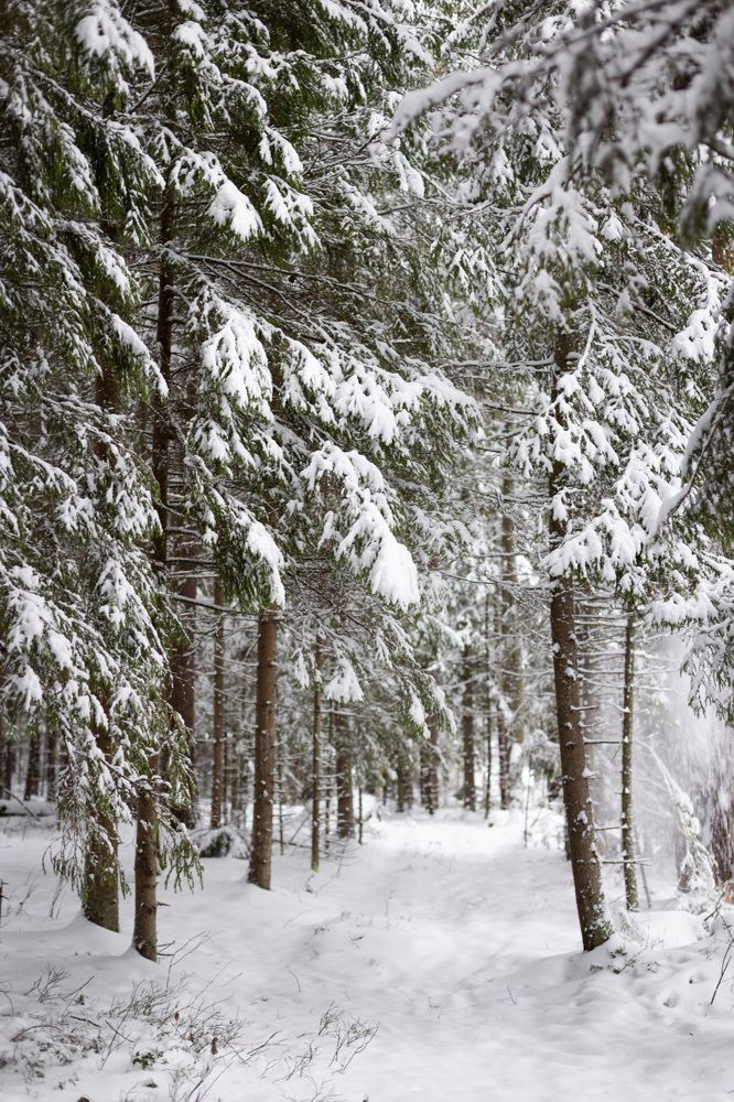 Photograph by Екатерина Овсянникова