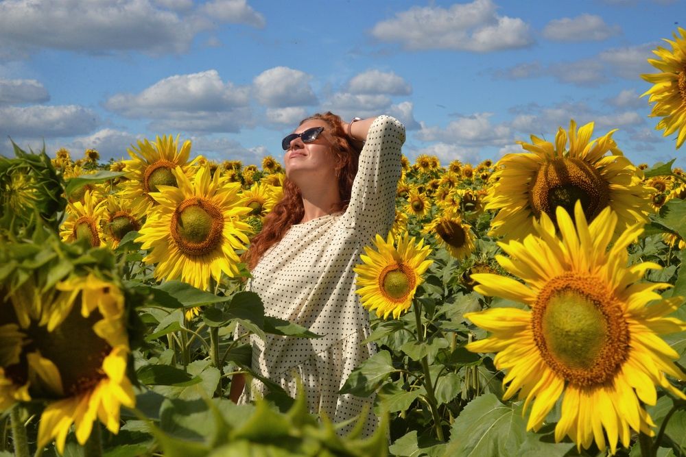 Фотография автора Елена Драко