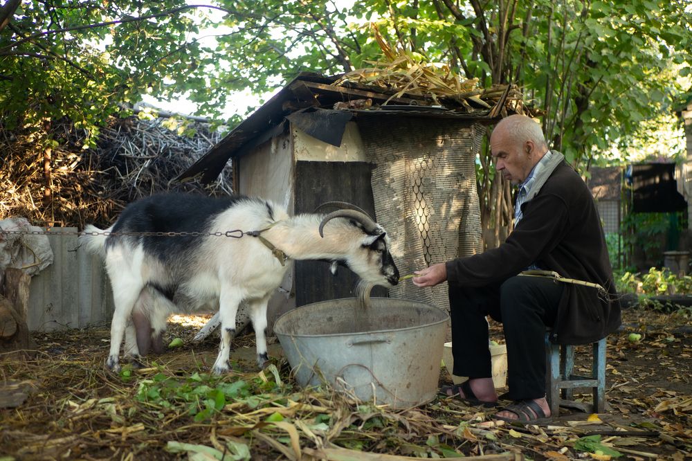 Photograph by Світлана Фоменко