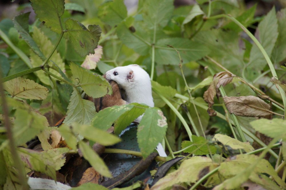 Photograph by Елизавета Корнилова