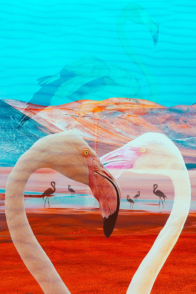 Photograph by Серебренников Михаил