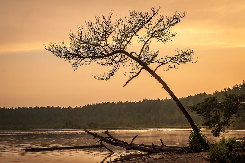 Photograph by Дарья Кончакова