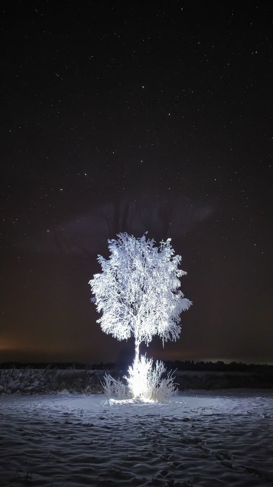 Photograph by Виталий Грачёв