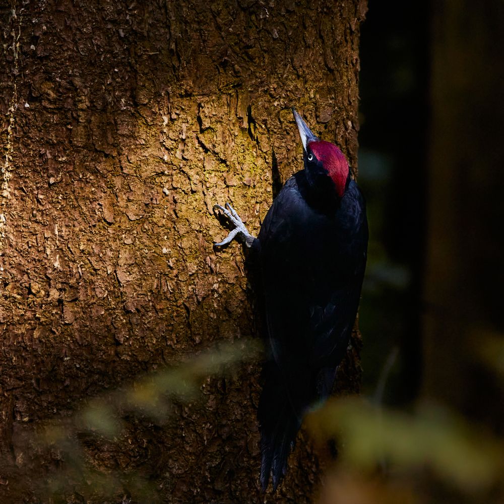 Photograph by Алексей