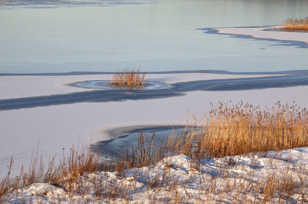 Фотография автора Елена Лаврова