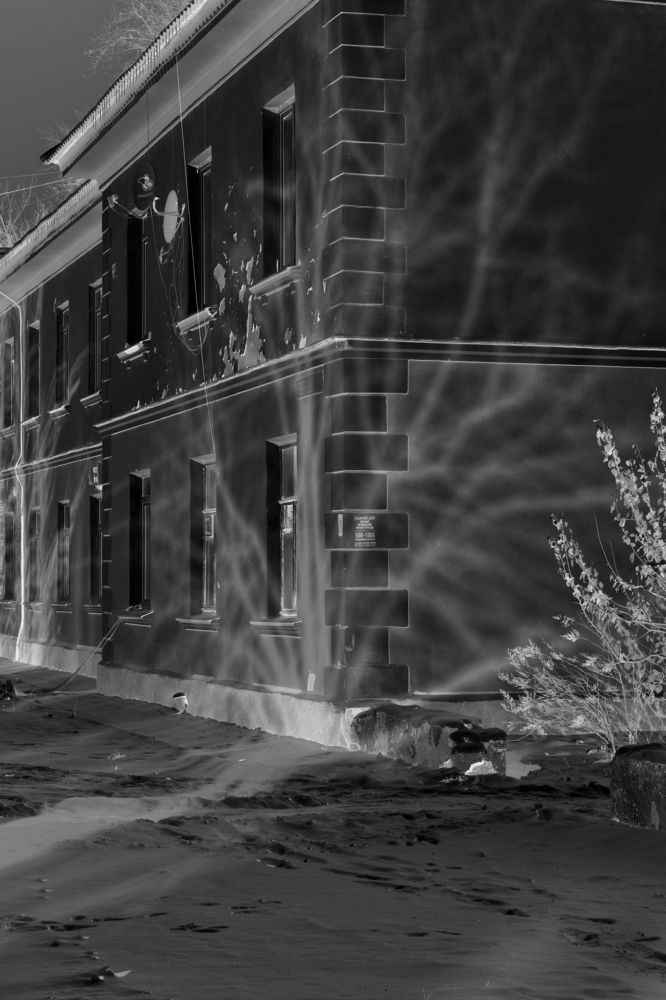 Фотография автора Светлана Бобошина