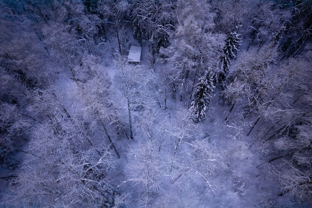 Photograph by Евгений Порсов