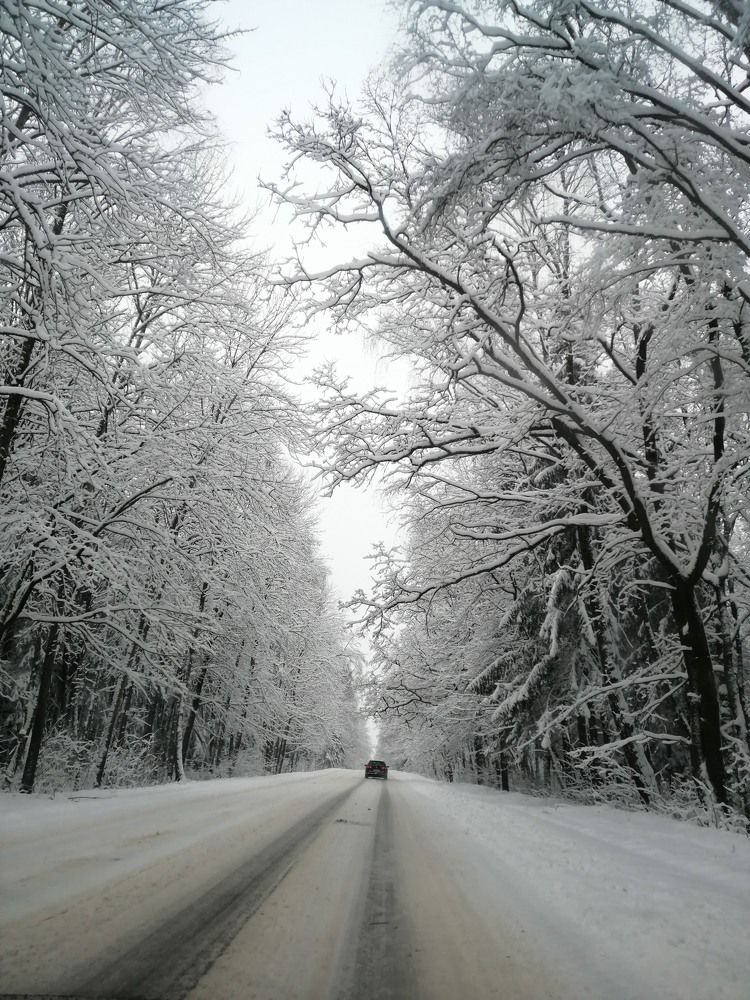 Фотография автора Елена Драко