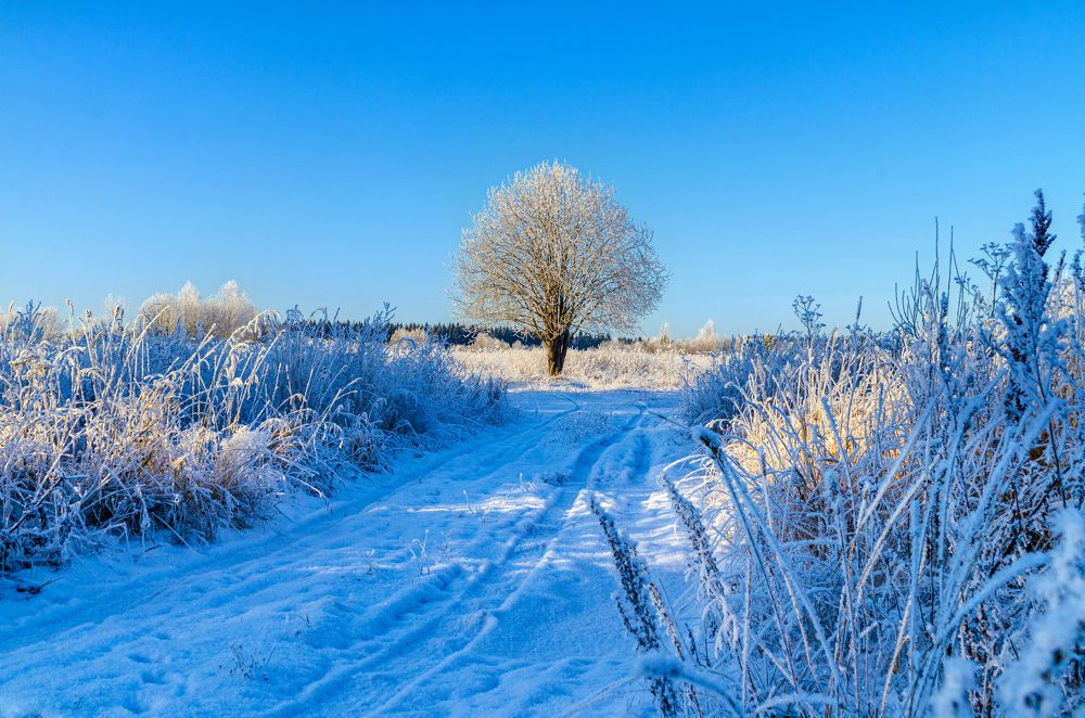 Photograph by Денис Кичев