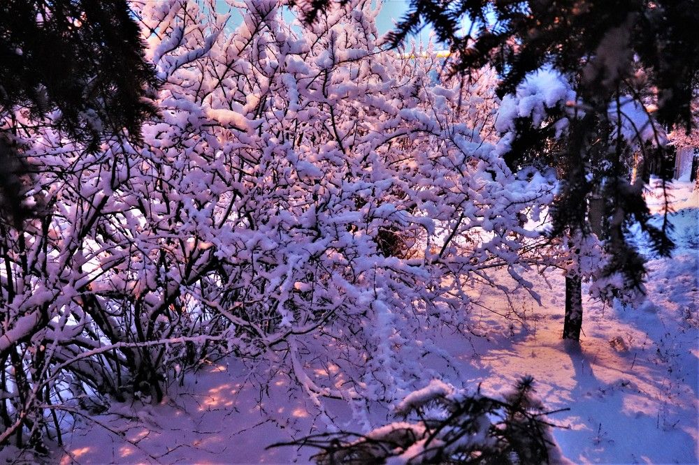 Photograph by Федоренко Элеонора