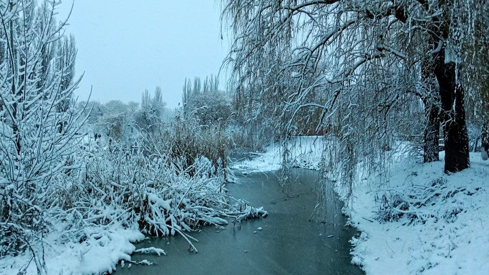 Photograph by Денис Лащ