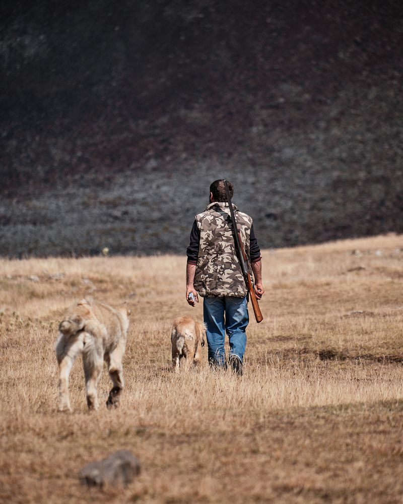 Фотография автора Владимир Эделев
