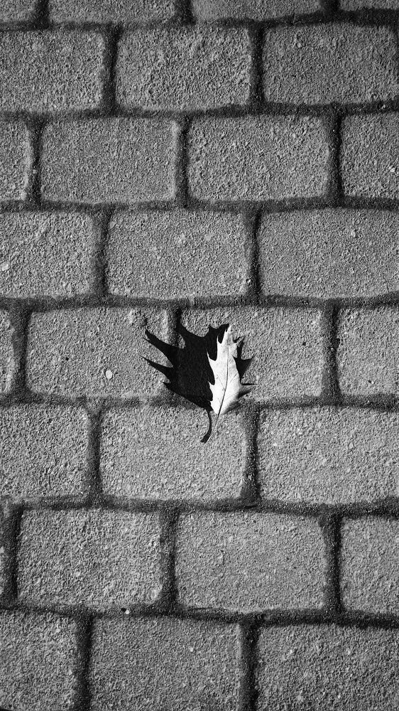 Photograph by Алеся Цеван