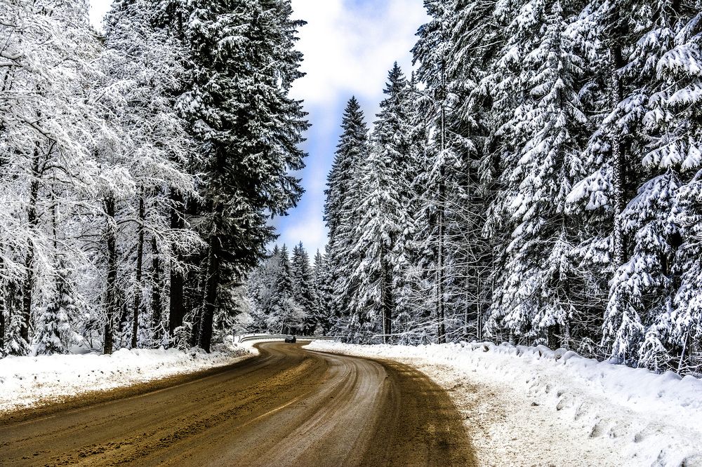 Photograph by Игорь Полоз