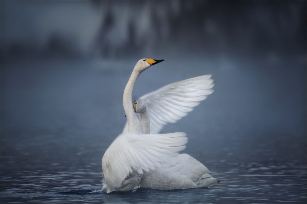 Не бойся, я с тобой!