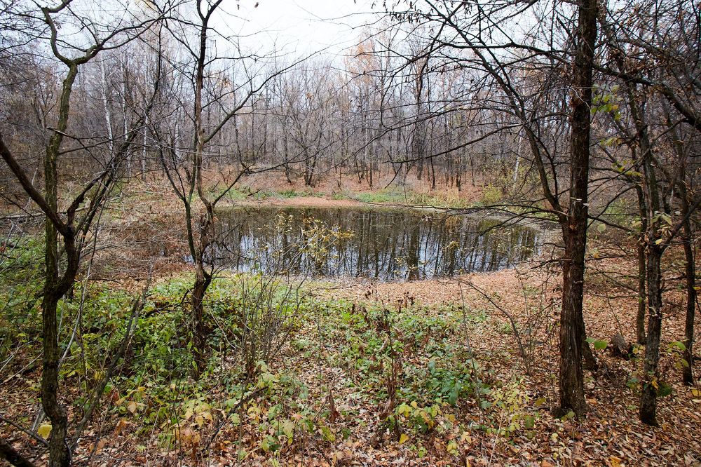 Photograph by Igor Kochkin