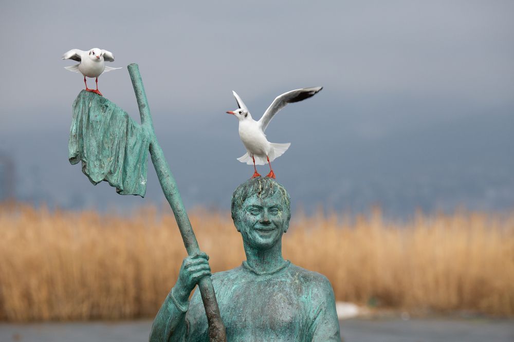 Photograph by Николай Абрамов