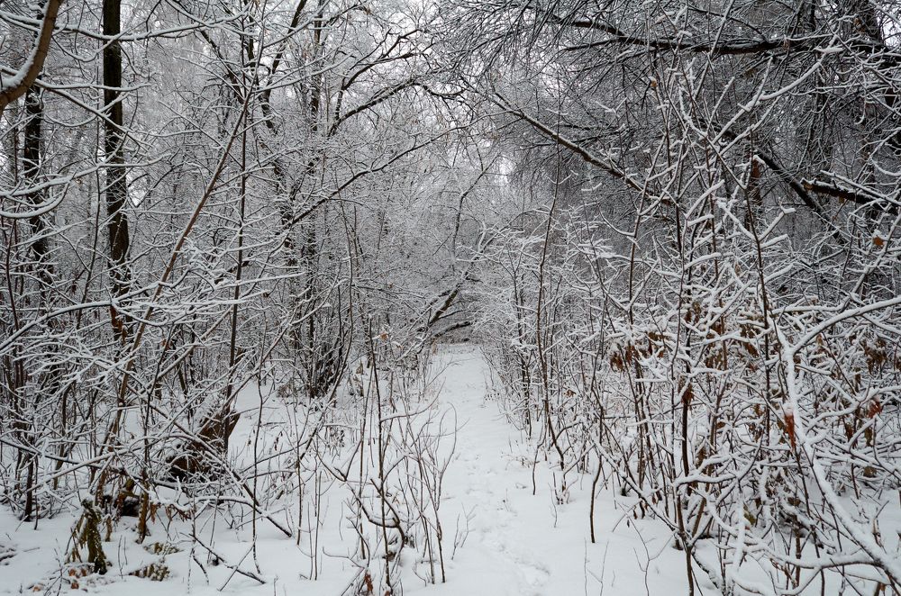 Photograph by Igor Kochkin