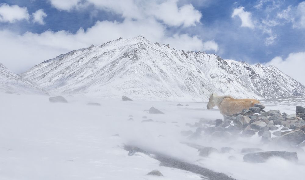 Photograph by Александр Гиль