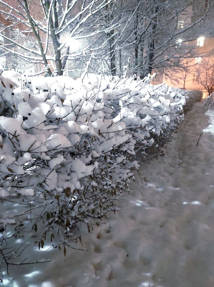 Фотография автора Елена Драко