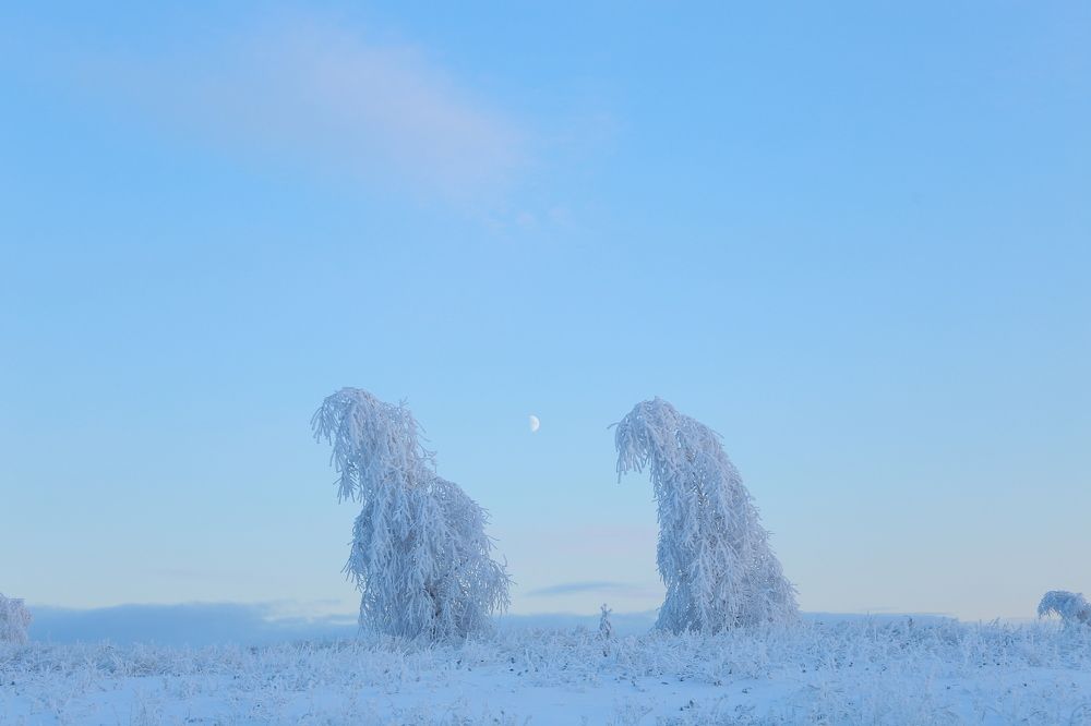 Photograph by Наталья Гранфельд