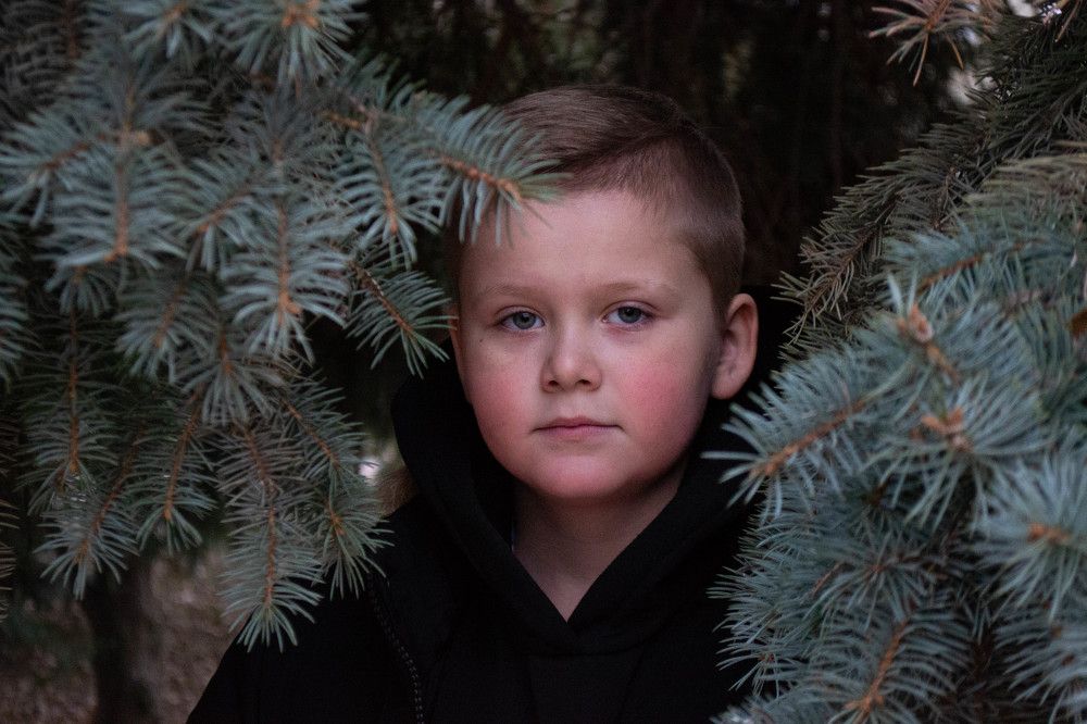 Хорошо в лесу