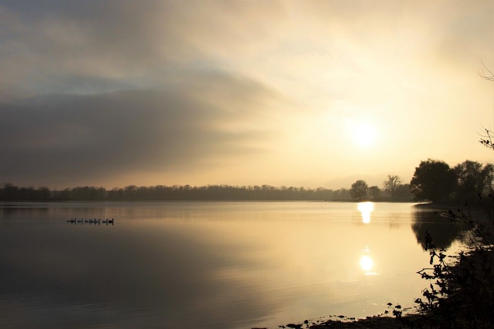 Фотография автора Татьяна Нарайкина
