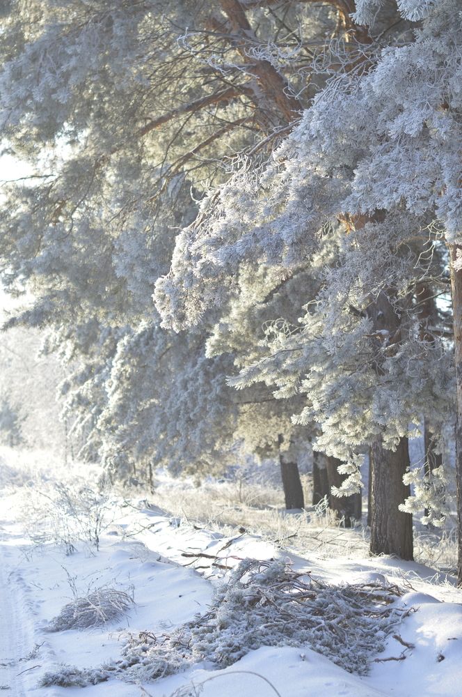 Photograph by Елена Квасова