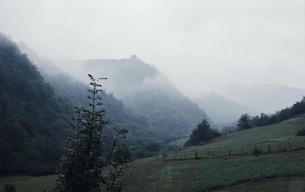 Фотография автора Татьяна Нарайкина