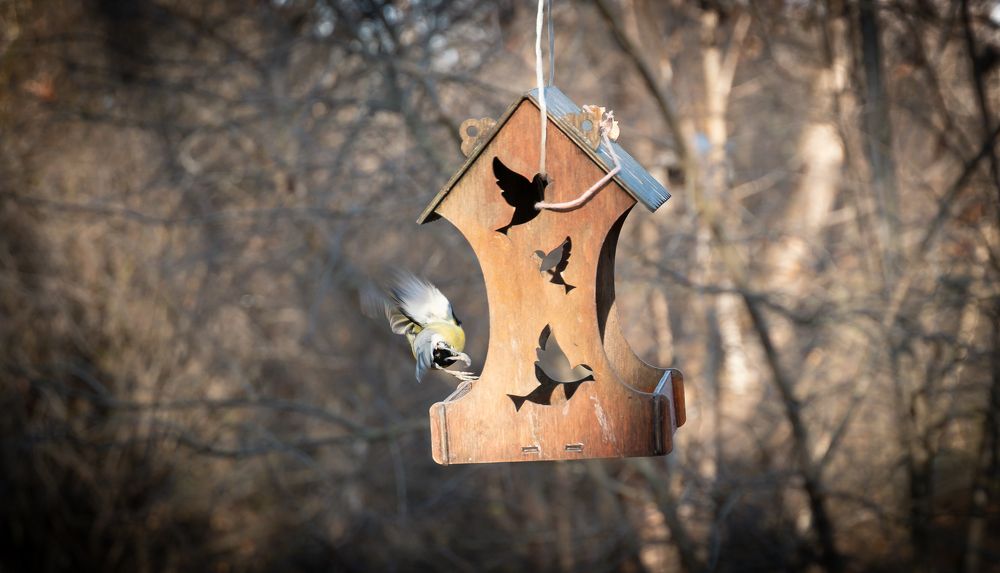 Photograph by Евгений Греков