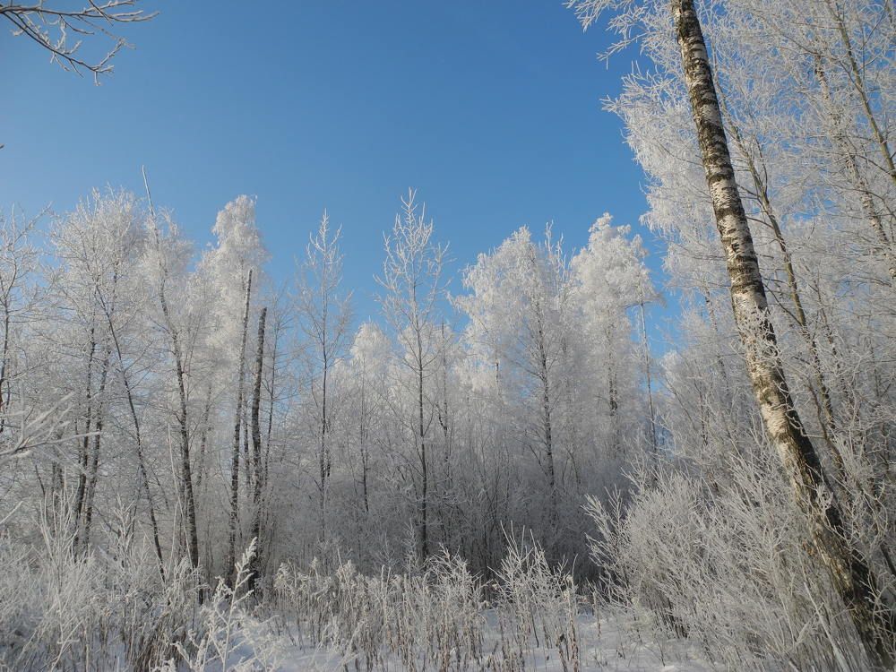 Photograph by Андрей Головин