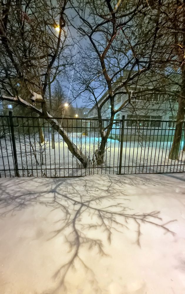 Photograph by Анна Кривицкая