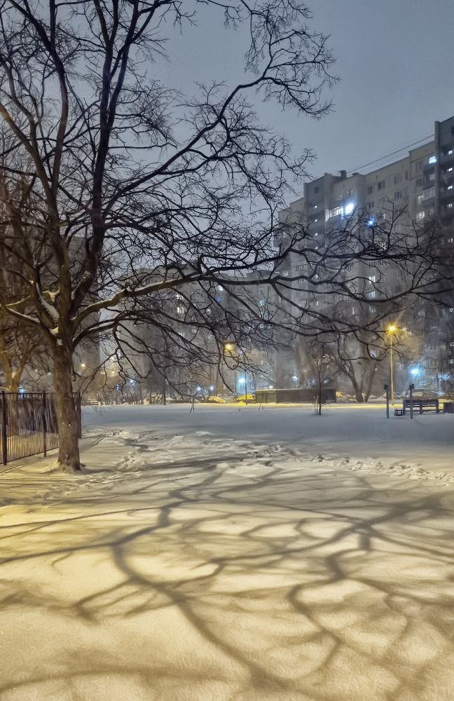 Photograph by Анна Кривицкая