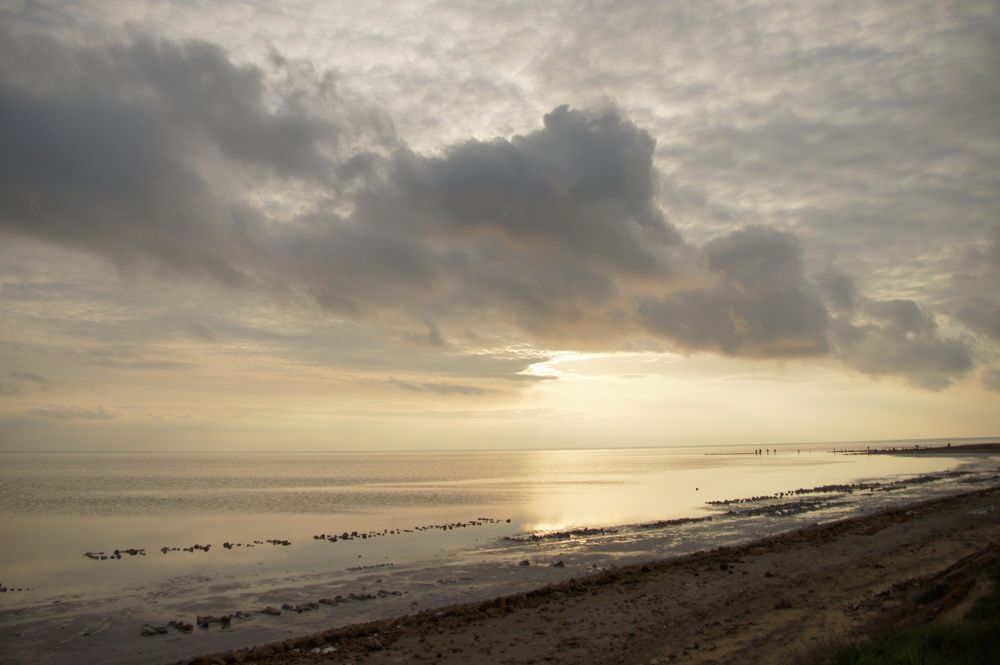Photograph by Елизавета Корнилова