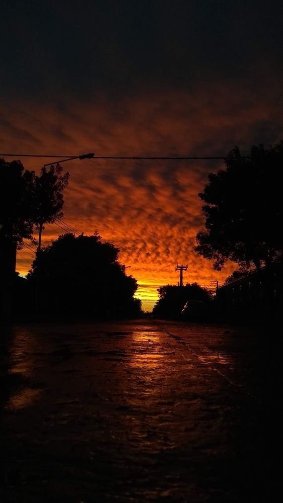 Photograph by Rocio orellano