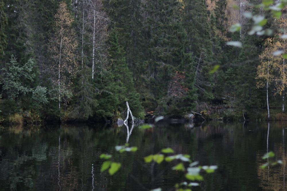 Photograph by Николай