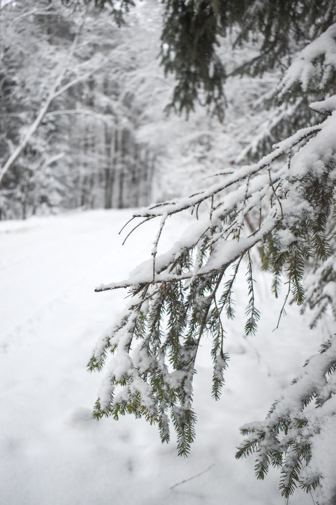 Photograph by Татьяна Сурова