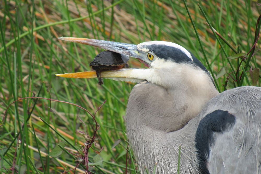 Photograph by Илья Ушак