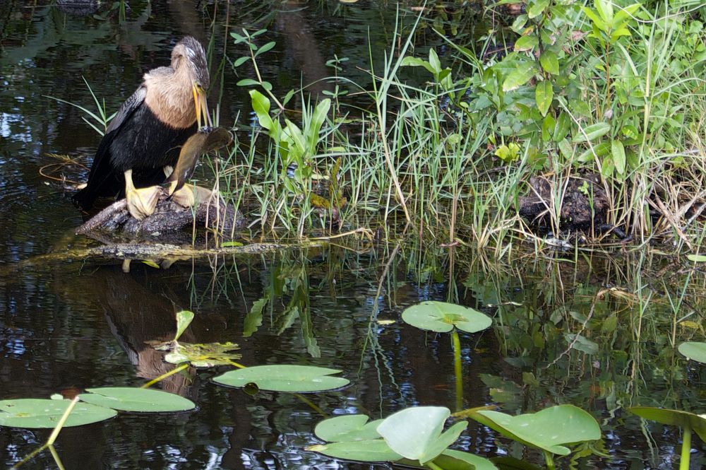 Photograph by Илья Ушак