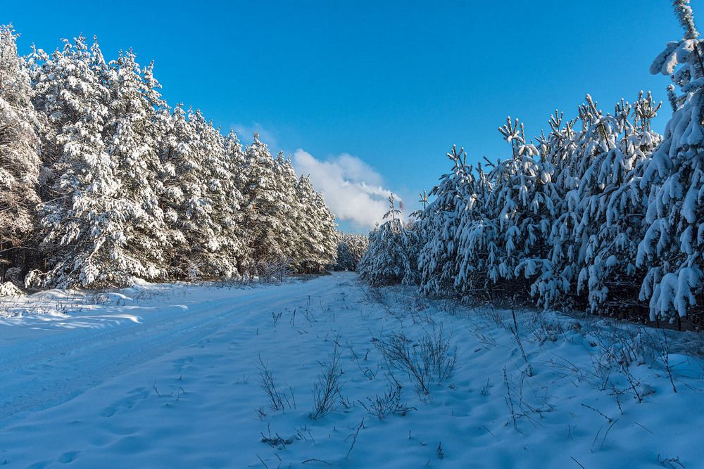 Photograph by Александр Панченко